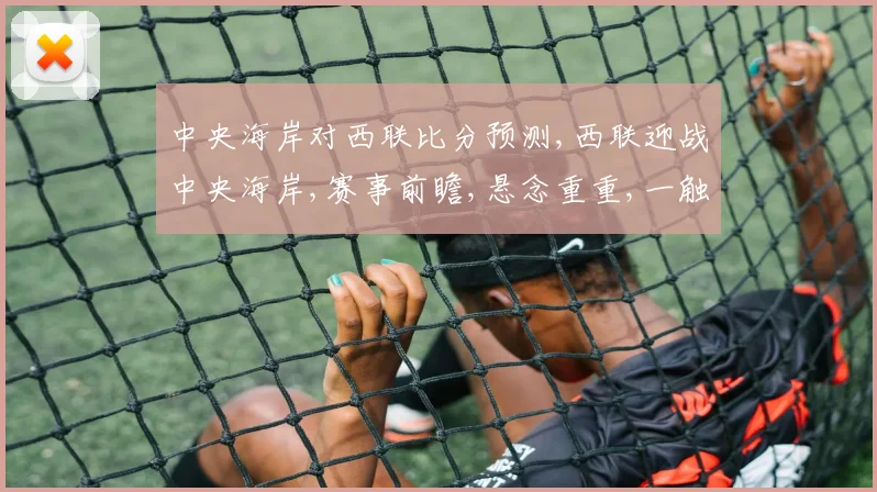 中央海岸对西联比分预测,西联迎战中央海岸,赛事前瞻,悬念重重,一触即发
