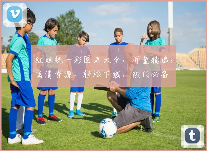 红姐统一彩图库大全，海量精选，高清资源，轻松下载，热门必备