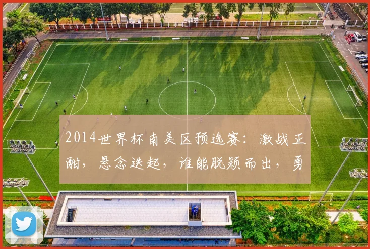 2014世界杯南美区预选赛：激战正酣，悬念迭起，谁能脱颖而出，勇夺晋级门票