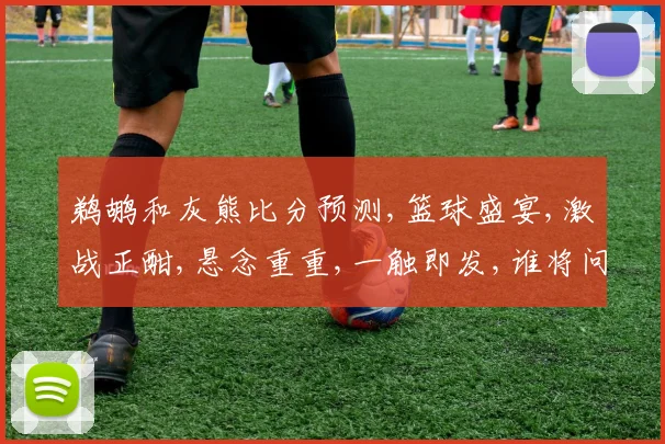 鹈鹕和灰熊比分预测,篮球盛宴,激战正酣,悬念重重,一触即发,谁将问鼎