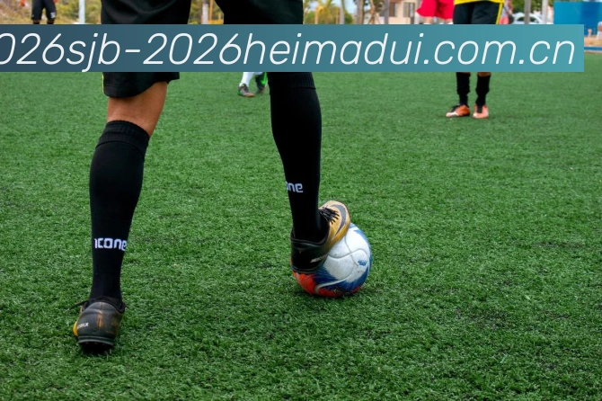 世界杯2026黑马球队平台生态图